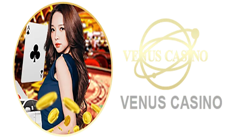 v bet Informações básicas sobre o saguão do cassino Venus
